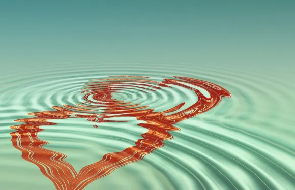 Casigo Casino Soporte